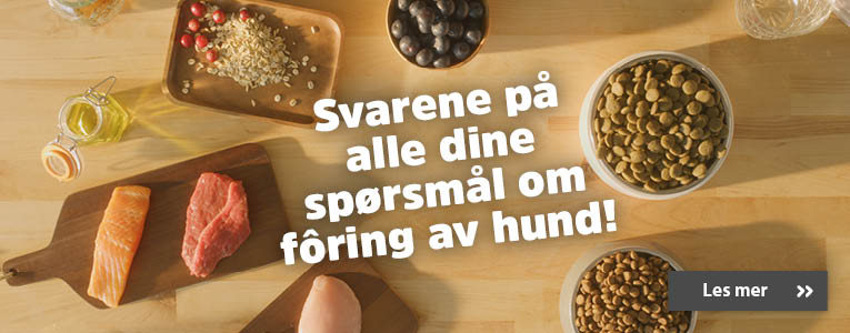 hvilket valpefor skal jeg velge