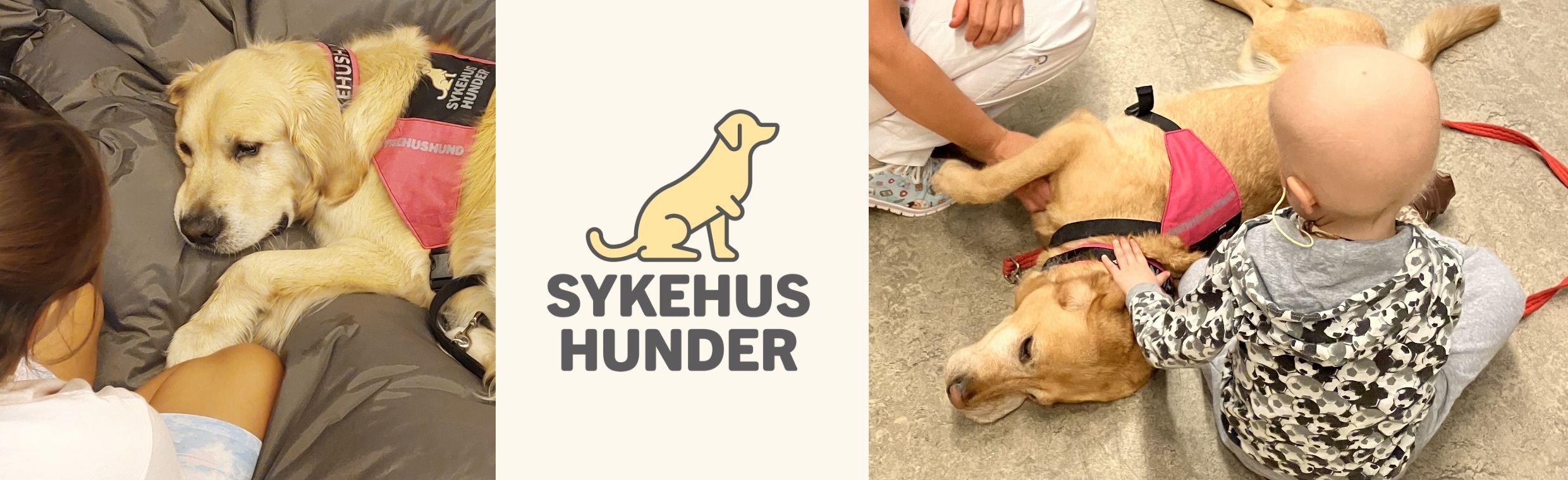 Sykehushund med barn