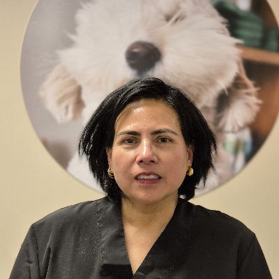 Hundefrisør Sandefjord Pindsle